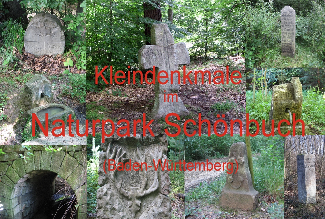 Homepage www.Denksteine-Schoenbuch.de wird geladen